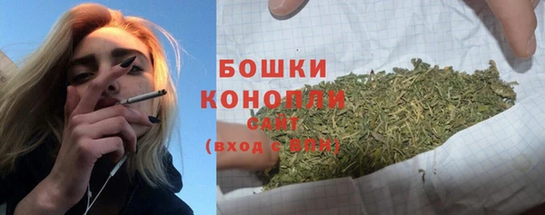 прущие грибы Пестово