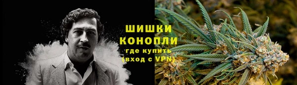 прущие грибы Пестово