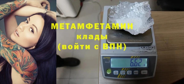 прущие грибы Пестово