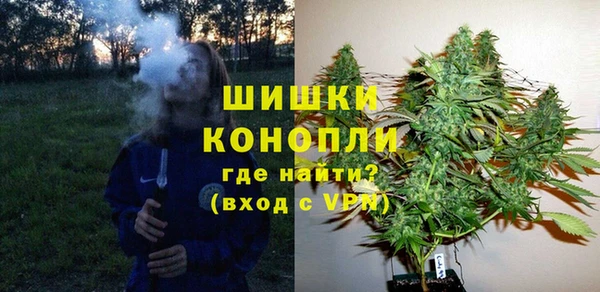 стаф Пересвет