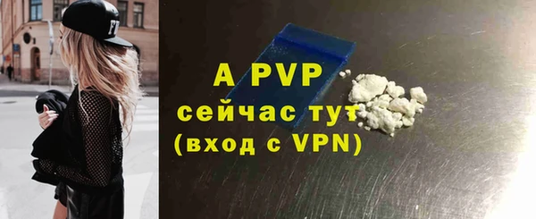 стаф Пересвет