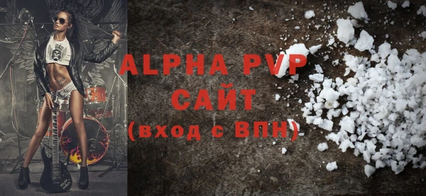 прущие грибы Пестово