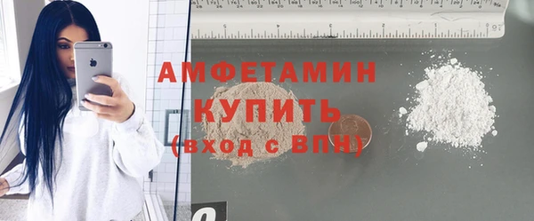 стаф Пересвет