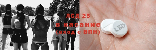 стаф Пересвет