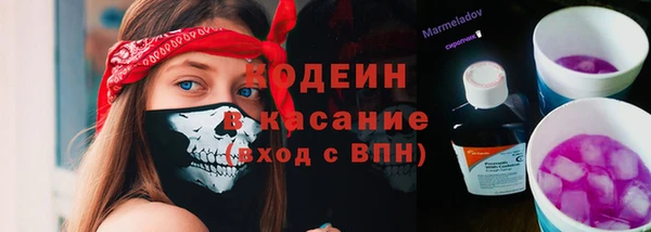 прущие грибы Пестово