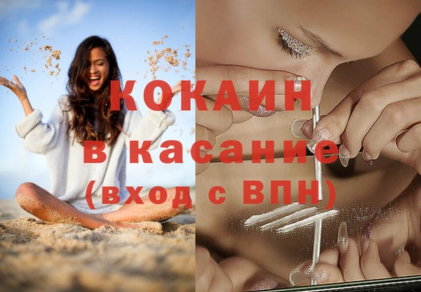прущие грибы Пестово