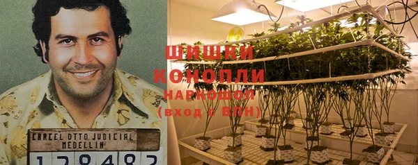 стаф Пересвет