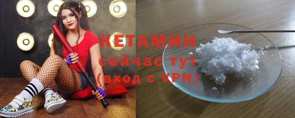 стаф Пересвет