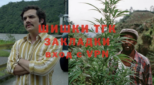 прущие грибы Пестово