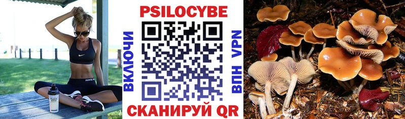 Псилоцибиновые грибы GOLDEN TEACHER  Сафоново 
