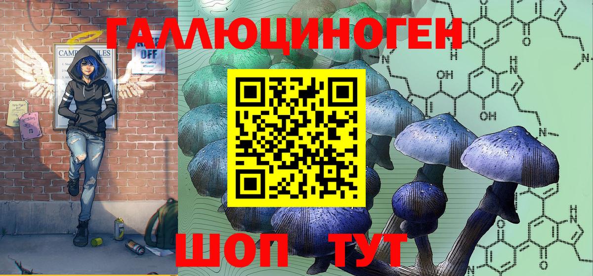 Псилоцибиновые грибы Psilocybine cubensis Сафоново